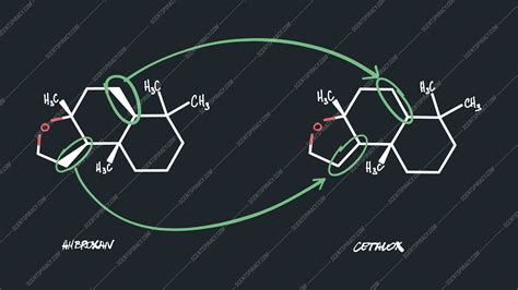 cetalox vs ambroxan.